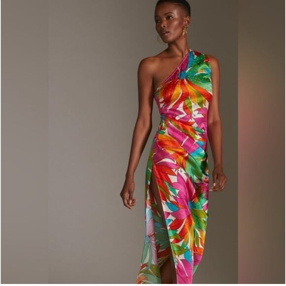 Ronny Kobo Collection Dresses & Skirts - Ronny Kobo Tropical One Shoulder Dress Size Small